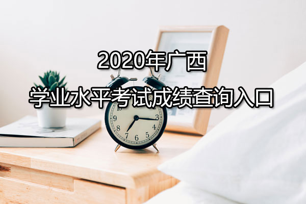 2020ѧҵˮƽԳɼѯ